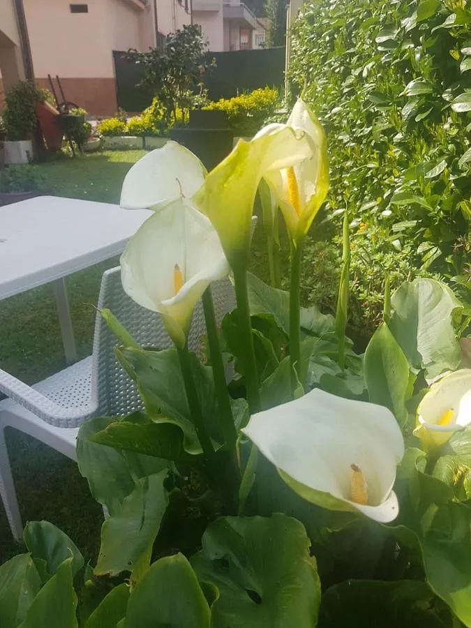 B&B La Damigiana Fioi Piano di Follo 0*,  Italie